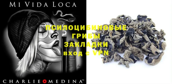 дживик Зеленокумск