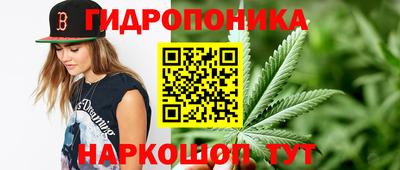 мдпв Ачхой-Мартан