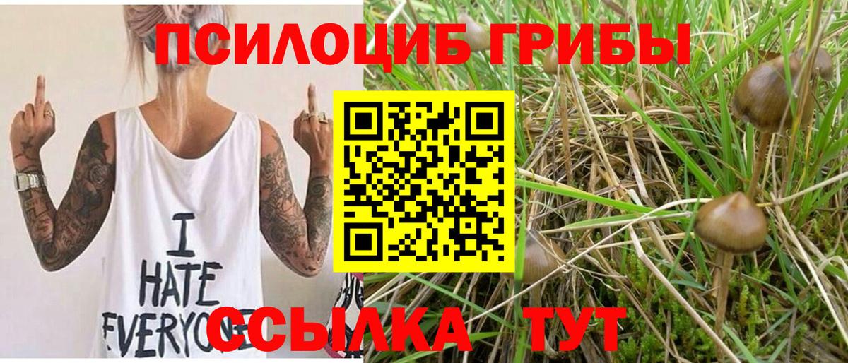 Мегион  Псилоцибиновые грибы мицелий  Вход с VPN 