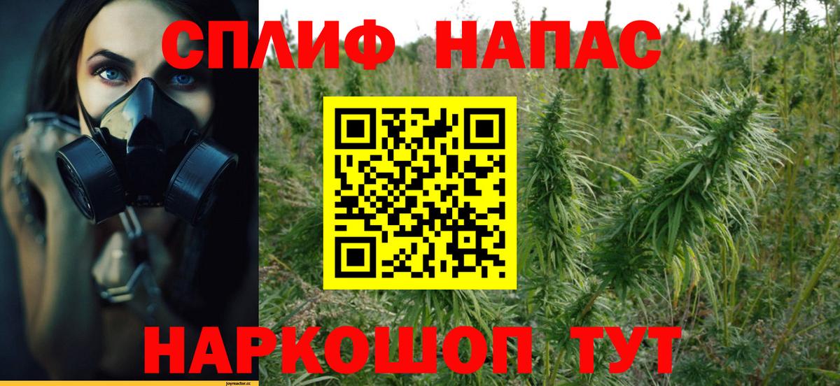 Мегион  Канабис планчик  Конопля план  Вход с VPN 